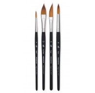 Princeton Aqua Elite Professional Global set 4pc