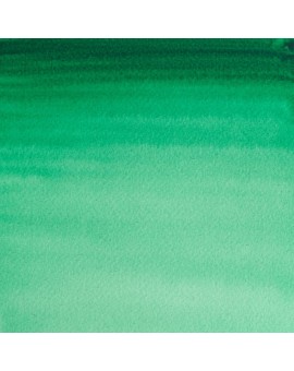 W&N Professional Water Colour - Winsor Green (Yellow Shade) (721)