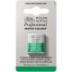 W&N Professional Water Colour - Winsor Green (Yellow Shade) 1/2 napje