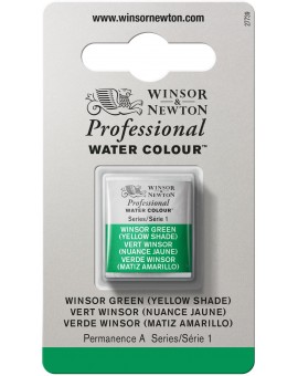 W&N Professional Water Colour - Winsor Green (Yellow Shade) (721)