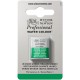 W&N Professional Water Colour - Winsor Green (Yellow Shade)