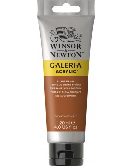 W&N Galeria Acrylic - Burnt Sienna (074)