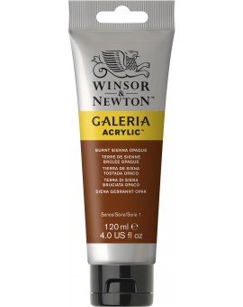 W&N Galeria Acrylic - Burnt Sienna Opaque (077)