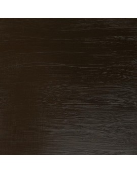 Raw Umber - W&N Galeria Acrylic