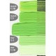 Golden Heavy Body Acrylic - Light Green (Yellow Shade) #1560