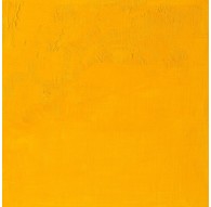 W&N Artisan Oil Colour - Cadmium Yellow Medium (116)