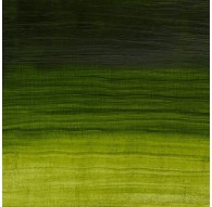 W&N Artisan Oil Colour - Permanent Sap Green (503)
