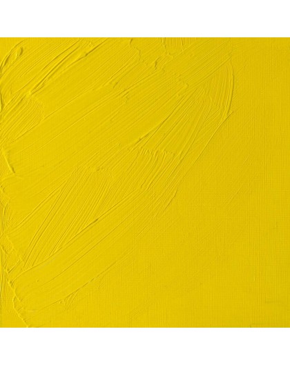 W&N Artists' Oil Colour - Cadmium Lemon (086)