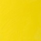 W&N Artists' Oil Colour - Bismuth Yellow (025)