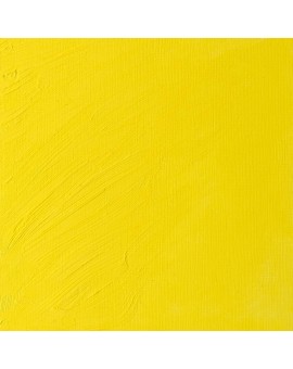 W&N Artists' Oil Colour - Bismuth Yellow (025)