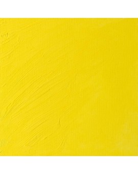 W&N Artists' Oil Colour - Bismuth Yellow (025)