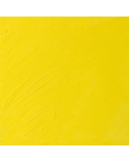 W&N Artists' Oil Colour - Bismuth Yellow (025)