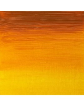 W&N Artists' Oil Colour - Indian Yellow (319)