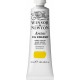 W&N Artists' Oil Colour - Indian Yellow tube 37ml