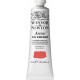 W&N Artists' Oil Colour - Quinacridone Red tube 37ml