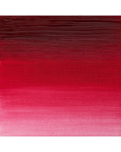 W&N Artists' Oil Colour - Permanent Carmine (479)