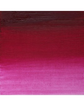 W&N Artists' Oil Colour - Permanent Magenta (489)