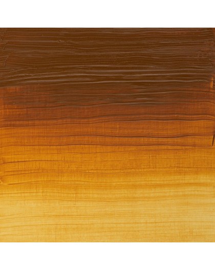 W&N Artists' Oil Colour - Transparent Gold Ochre (646)