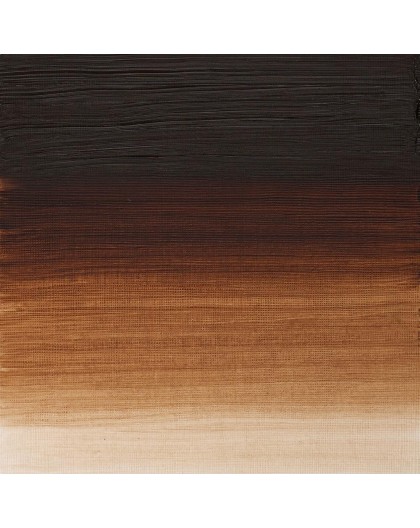 W&N Artists' Oil Colour - Burnt Umber (076)