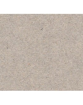 Canson® grijs karton (60x80cm)