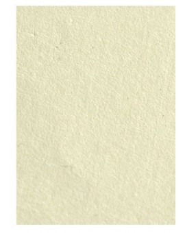 Awagami postkaart enkel - pakje met 10 blanco kaarten