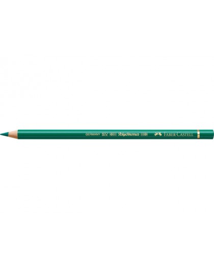 kleurpotlood Polychromos 264 - dark phtalo green