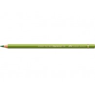 kleurpotlood Polychromos 168 - earth green yellowish