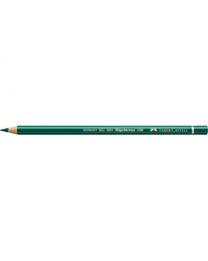 kleurpotlood Polychromos 159 - Hooker's green