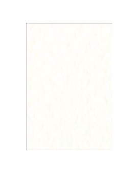 Fabriano Tiziano Pastello bloc - Bianchi (23x30,5cm)