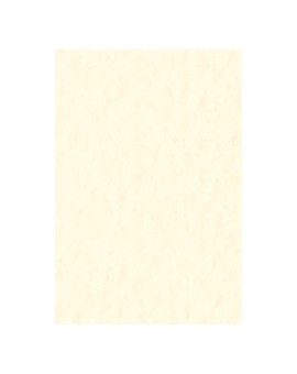 Fabriano Tiziano Pastello bloc - Tenui (21x29,7cm)