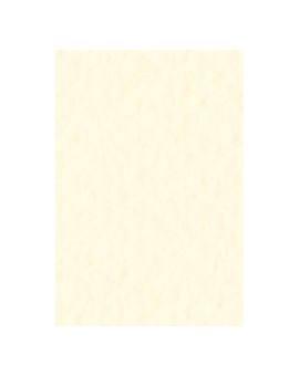 Fabriano Tiziano Pastello bloc - Tenui (21x29,7cm)