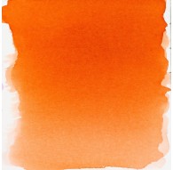 Ecoline 30ml - mahonie (441)