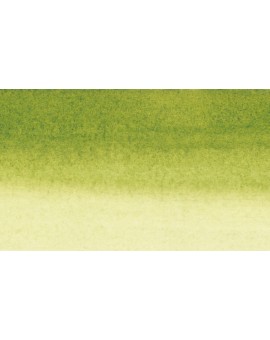Olijfgroen 813 - Sennelier schellak inkt 30ml