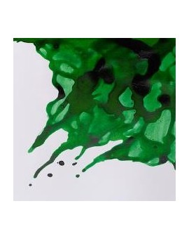 W&N Drawing ink 14ml - Brilliant Green