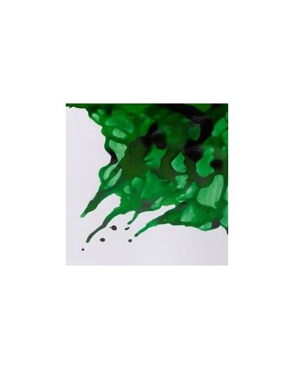 W&N Drawing ink 14ml - Brilliant Green