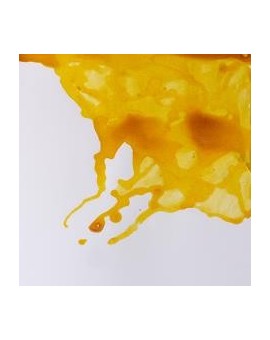 W&N Drawing ink 14ml - Canary Yellow