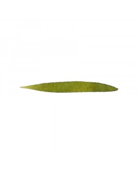 Olive Green - inktpatronen Graf von Faber-Castell