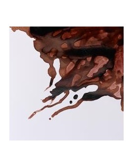 W&N Drawing ink 14ml - Nut Brown