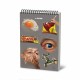 Stifflex ArtWorkPad Pastel Dark Shades - Tina Marzo Compositie