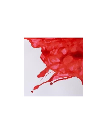 W&N Drawing ink 14ml - Scarlet