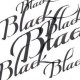 W&N Calligraphy ink Black