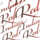 W&N Calligraphy ink Indian Red