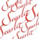 W&N Calligraphy ink Scarlet