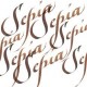 W&N Calligraphy ink Sepia