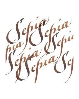 W&N Calligraphy ink 30ml - Sepia