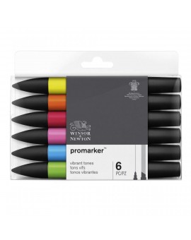 Promarker set 6 vibrant tones