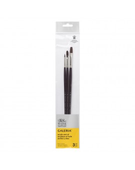 Winsor & Newton Galeria - set met 3 penselen rond, plat, kattentong