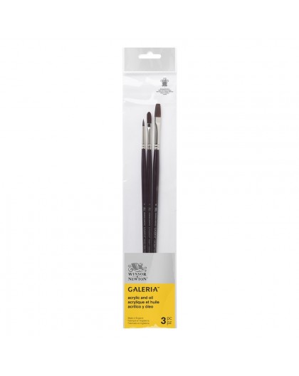 Winsor & Newton Galeria - set met 3 penselen rond, plat, kattentong