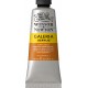 W&N Galeria Acrylic - Burnt Sienna tube 60ml