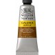 W&N Galeria Acrylic - Burnt Umber tube 60ml